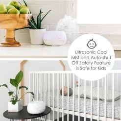 Best reviews of 🥰 Crane USA Personal Humidifier With Aroma Diffuser 👍 -Baby Toys Sales Shop unnamed file 113
